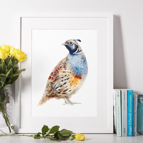 Watercolor Quail Wall Art Print, Unframed - Vibrant Nature-Inspired Home Decor - Picture 6 of 6